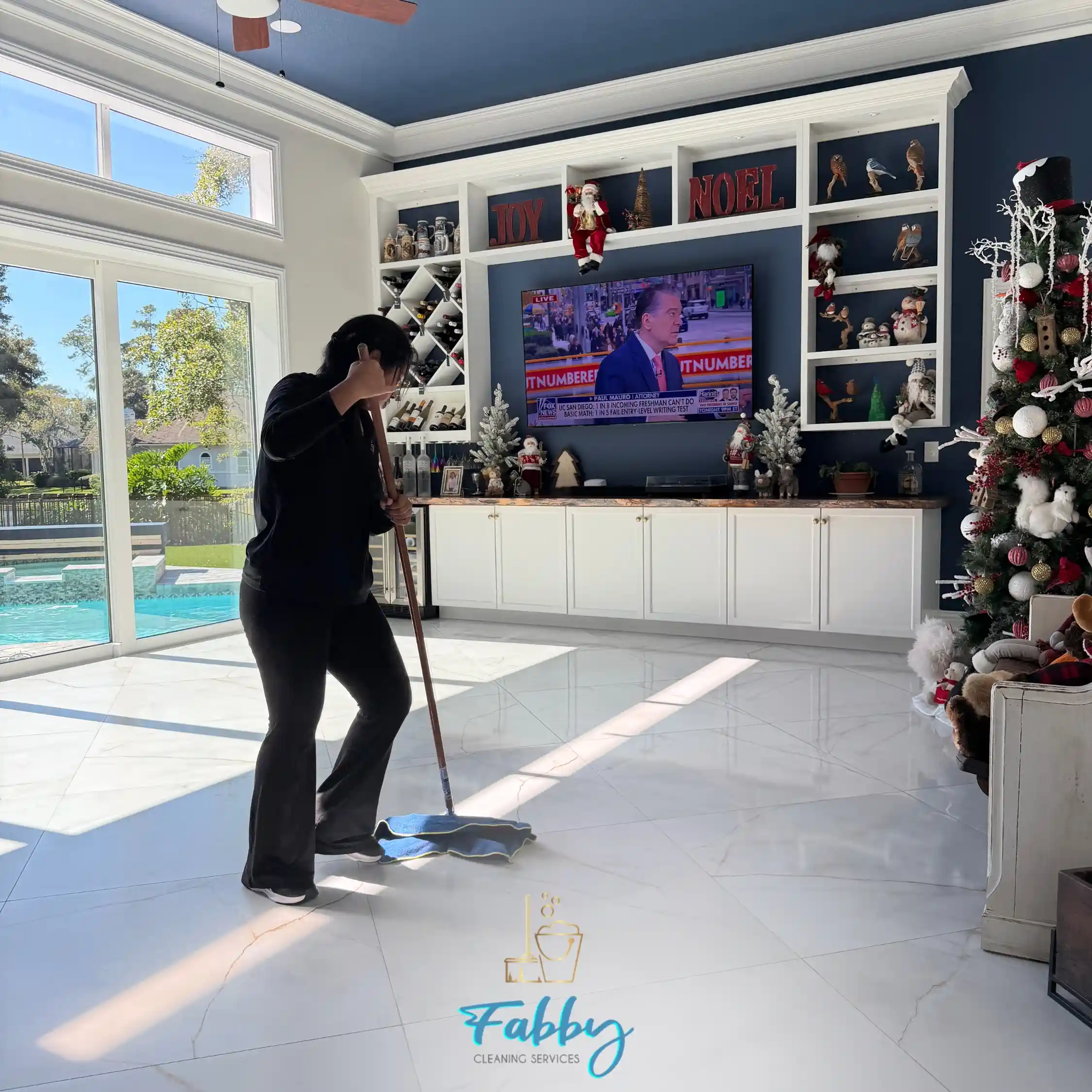 cleaning services ponte vedra fl